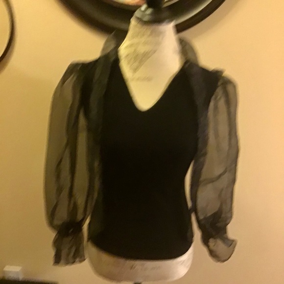 BEAUTIFUL TINY WILLOW TOP. SHEER SLEEVES W/ELASTIC CUFFS. EXCELLENT CONDITION - Picture 4 of 6